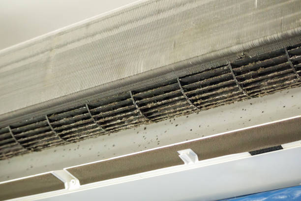 Best Ductwork Cleaning Services  in Walnut Cove, NC